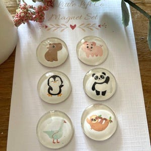 Set of 6 Cute Animal Glass Fridge Magnets | Penguin, Sloth, Panda, Pig, Capybara & Goose | Kawaii Animal Gift | Letterbox Animal Lover Gift