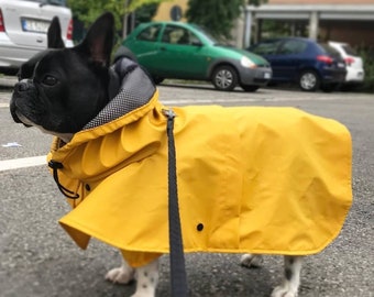 yellow waterproof jacket / cape for french bullgog