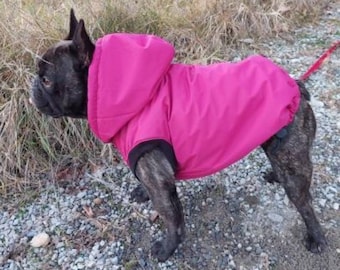 french bulldog jacket, french bulldog coat, small dog clothes, dog raincoat, dog winter coat, dog dress, dog bomber jacket, fleece jacket