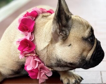Coleira romântica para cachorro com flores, ensaio fotográfico com coleira para cachorro, coleira chique para cachorro, coleira de tecido com flores, coleira para cachorro de noiva