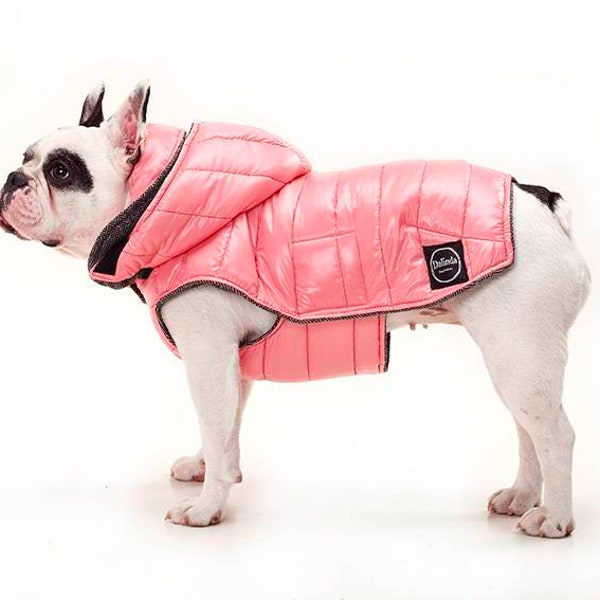 Winter Dog Vest Etsy