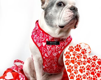 Red hearts harness, Valentine's Day dog harness, H-shaped dog harness, collar and leash set, Valentine's Day