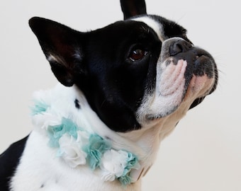Coleira de cachorro de casamento com flores, coleira veio cerimônia, coleira sessão de fotos, coleira de cachorro noiva, coleira com flores de tecido