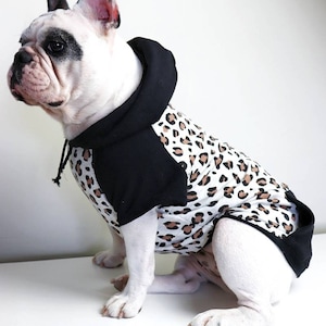 May include: A white French bulldog wearing a black and brown leopard print hooded sweatshirt.