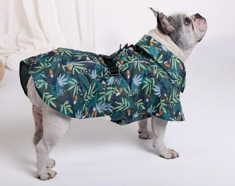 Vier-Jahreszeiten-Hunderegenmantel für kleine Hunde