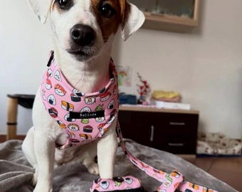 Sushi Harness, Adjustable Dog Harness, Dog H-Harness, Collar and Leash Set, Padded Harness, Handmade