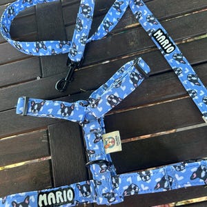 Adjustable French Bulldog Harness, Dog Harness, H-Harness, Walking Set with Matching Leash.