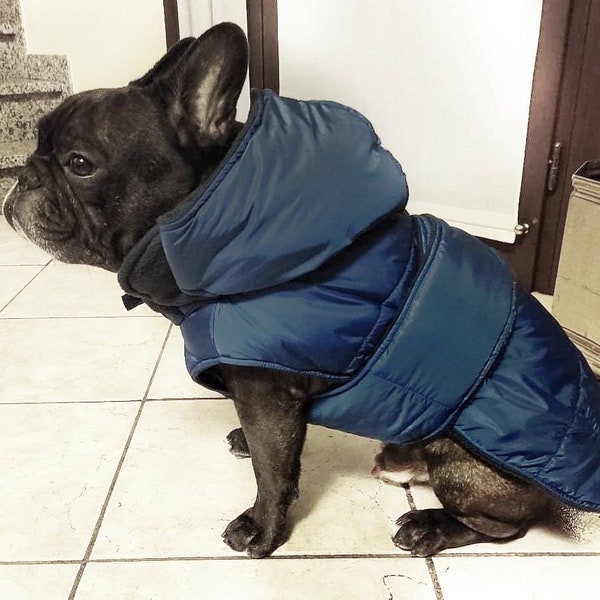 Veste matelassée pour chien, sur mesure, doudoune Bouledogue français, carlin, petits chiens, boutonnage réglable, tissu anti-pluie