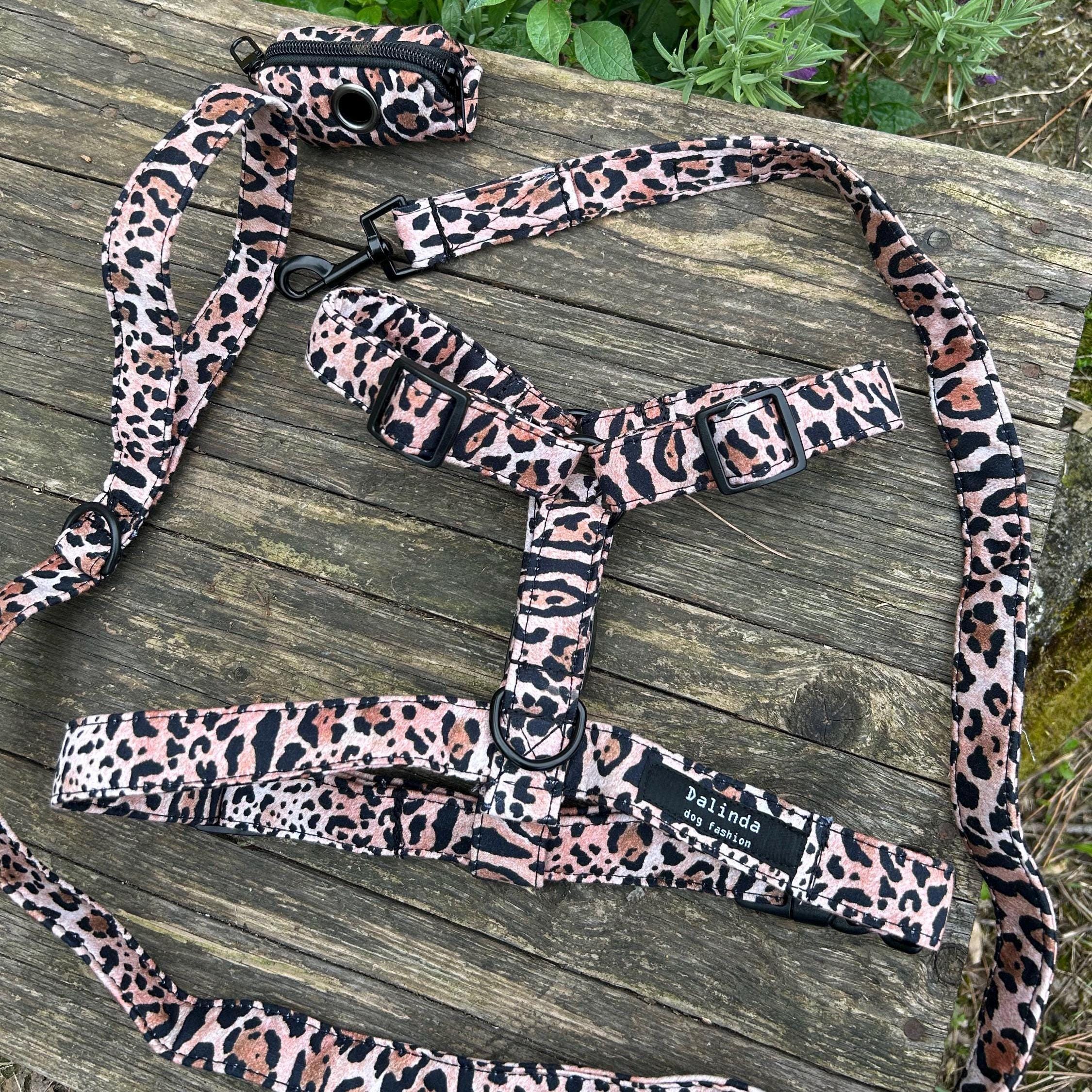 Leopard print dog walking set.