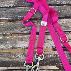 Può includere: Guinzaglio per cani rosa acceso con due moschettoni in metallo e anelli a D. Il guinzaglio è realizzato in un materiale tessuto resistente. È presente una piccola etichetta con un'immagine di un cartone animato.