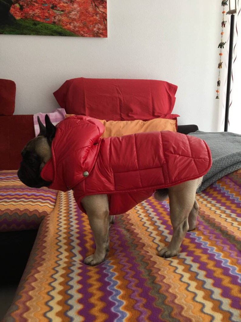 Dog Puffer Jacket Dog Winter Coat Warm Dog Coat Winter Dog Etsy