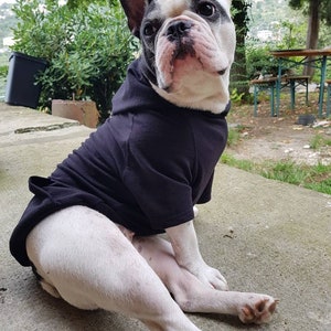 Può includere: Un bulldog francese bianco e nero che indossa una felpa con cappuccio nera. Il cane è seduto su una superficie di cemento con le gambe incrociate.