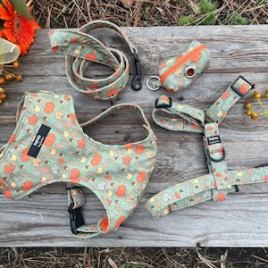 Dog harness with pumpkins, Dog collar with autumn leaves, Dog walk set with pumpkins, hand made in Italy