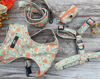 Könnte beinhalten: Ein Set aus drei Hunde-Accessoires in einem Herbst-Motiv mit orangefarbenen, grünen und braunen Blättern und Kürbissen. Das Set beinhaltet ein Geschirr, eine Leine und einen Kotbeutelhalter.
