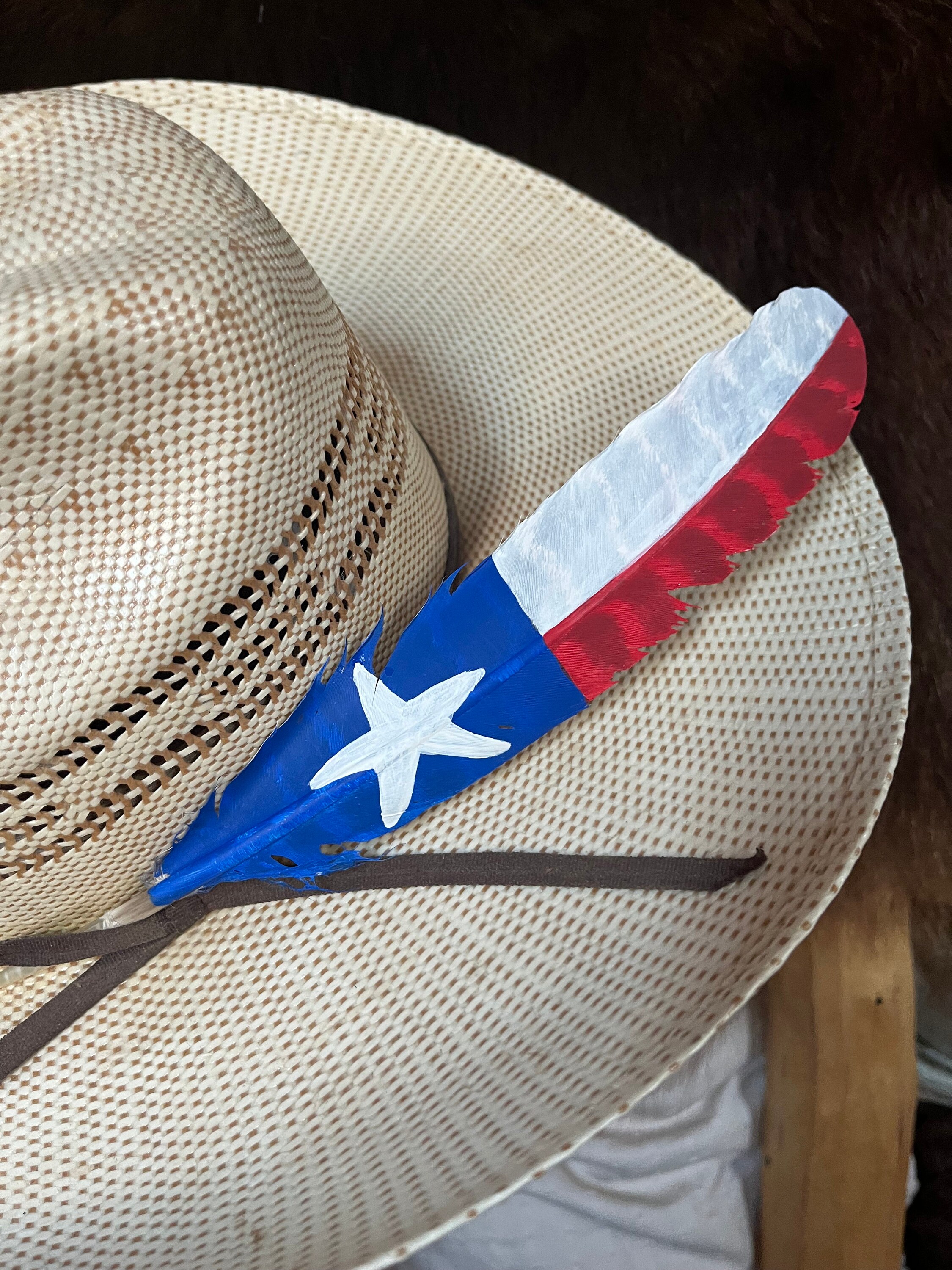 Hat Texas Felt  with Feather Trim (H049) Lonestar 6x Feather Rancher Cowboy Hat – Twinstone Hats main image 4