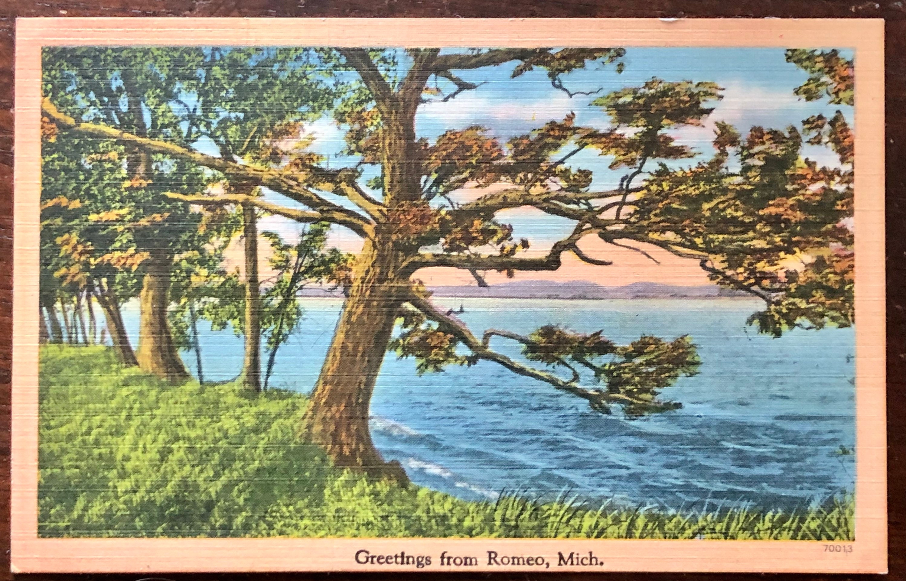Romeo Michigan Vintage Post Card Etsy UK