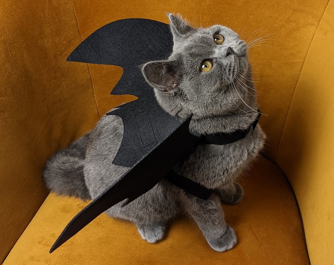 Cat Bat Wings Costume Cat Costume Bat Wings Halloween Costume Pet
