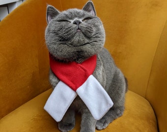 cat christmas outfits uk