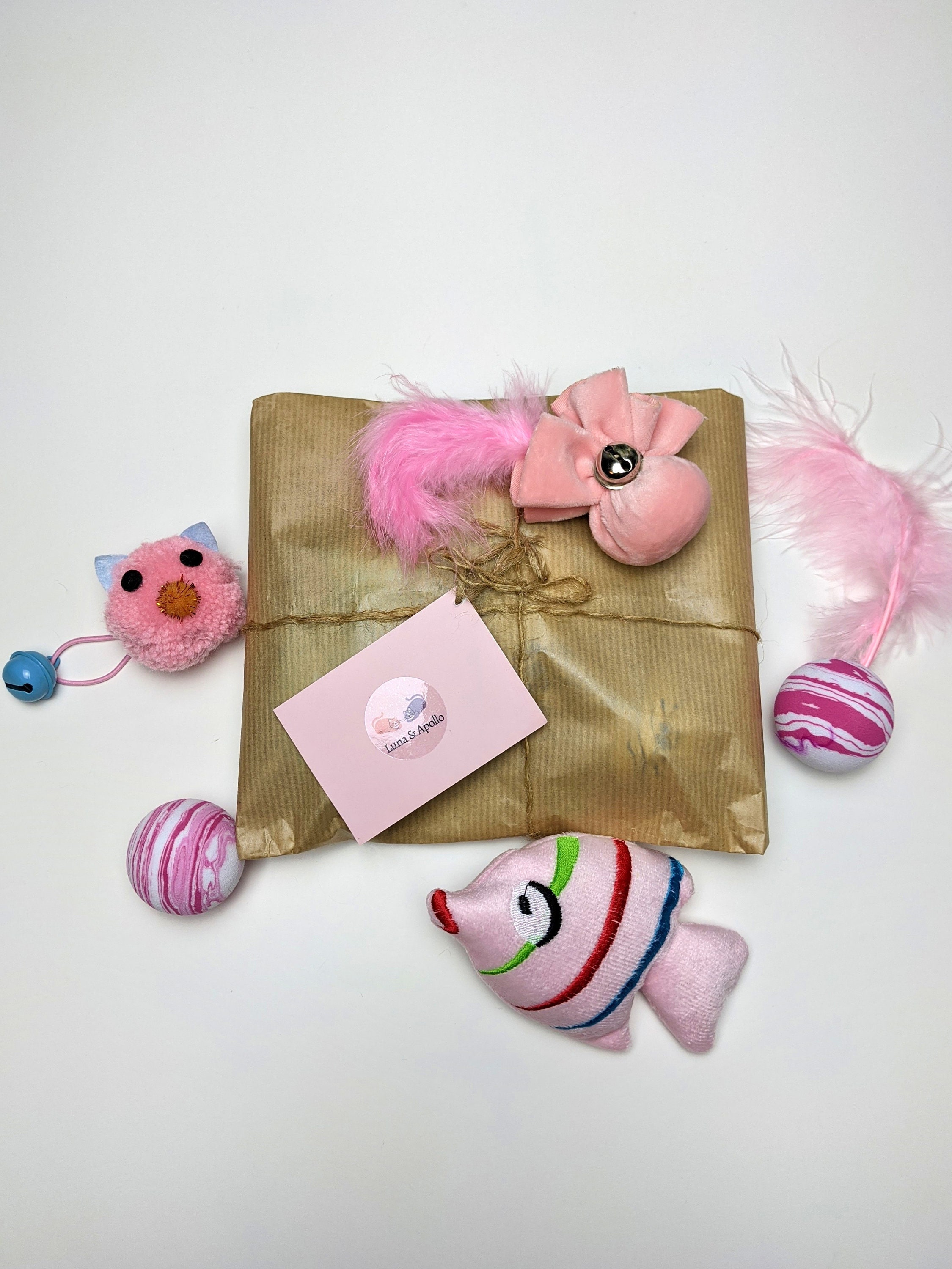 Cat/kitten Gift Box Cat Toy Set New Kitten Goody Box Cat Etsy