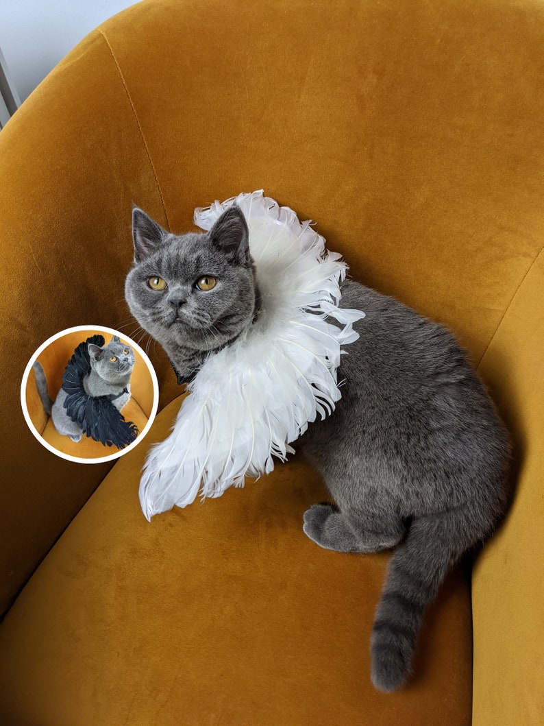 Cat Angel Costume | Cat Costume | Angel Wings | Halloween Costume | Pet Cosplay and Dress Up 