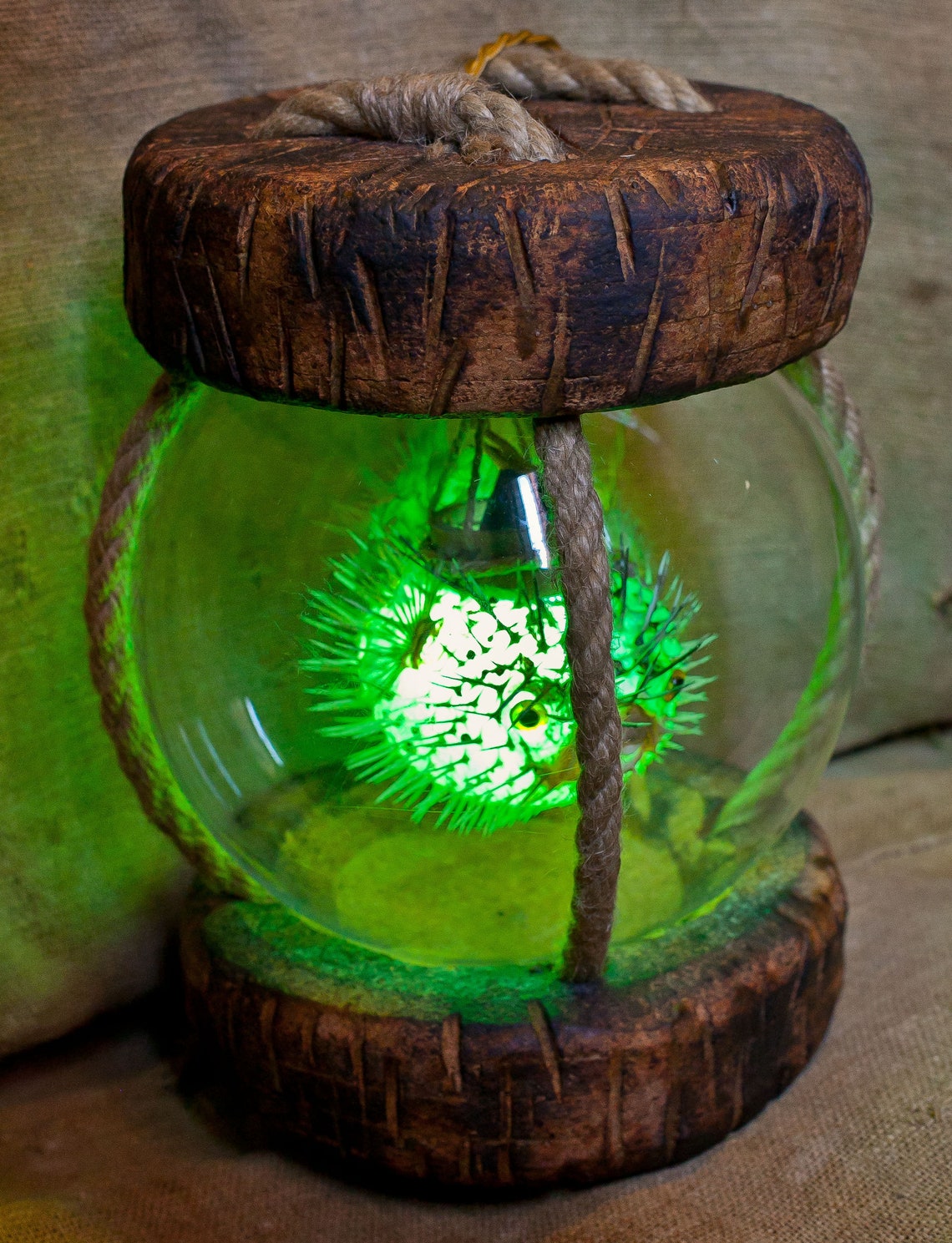 Tiki Lamp Japanese Float Cork Puffer Fish Tiki Bar Etsy