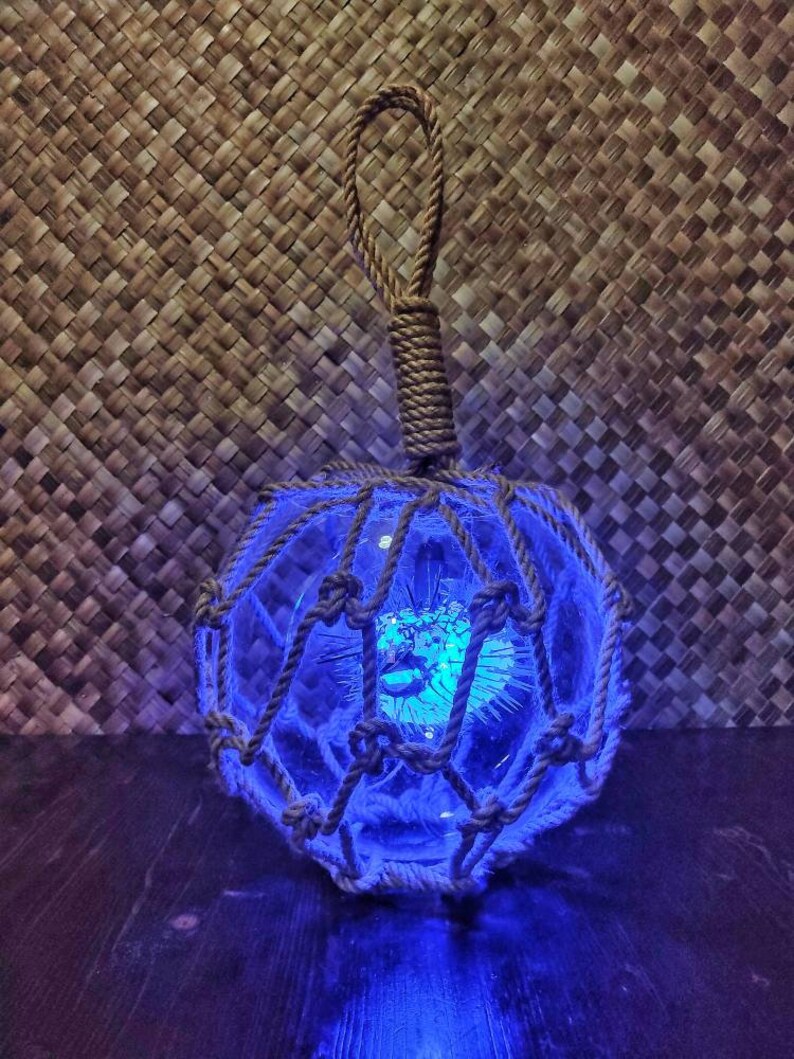 BLUE Light Tiki Lamp Japanese Float Puffer Fish Tiki Bar Etsy