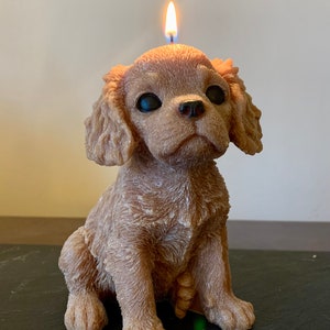 large dog candle, King Charles spaniel candle, dog lovers gift, spaniel, cavalier spaniel, cavachon, dog gift, image 2