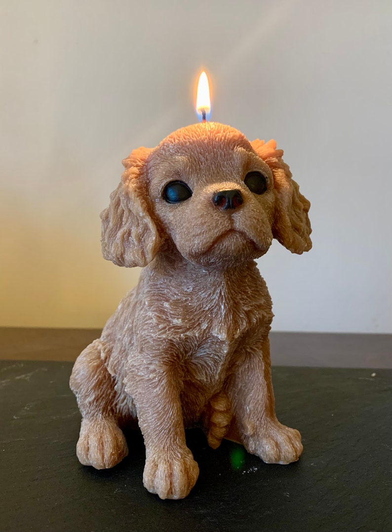 large dog candle, King Charles spaniel candle, dog lovers gift, spaniel, cavalier spaniel, cavachon, dog gift, image 2