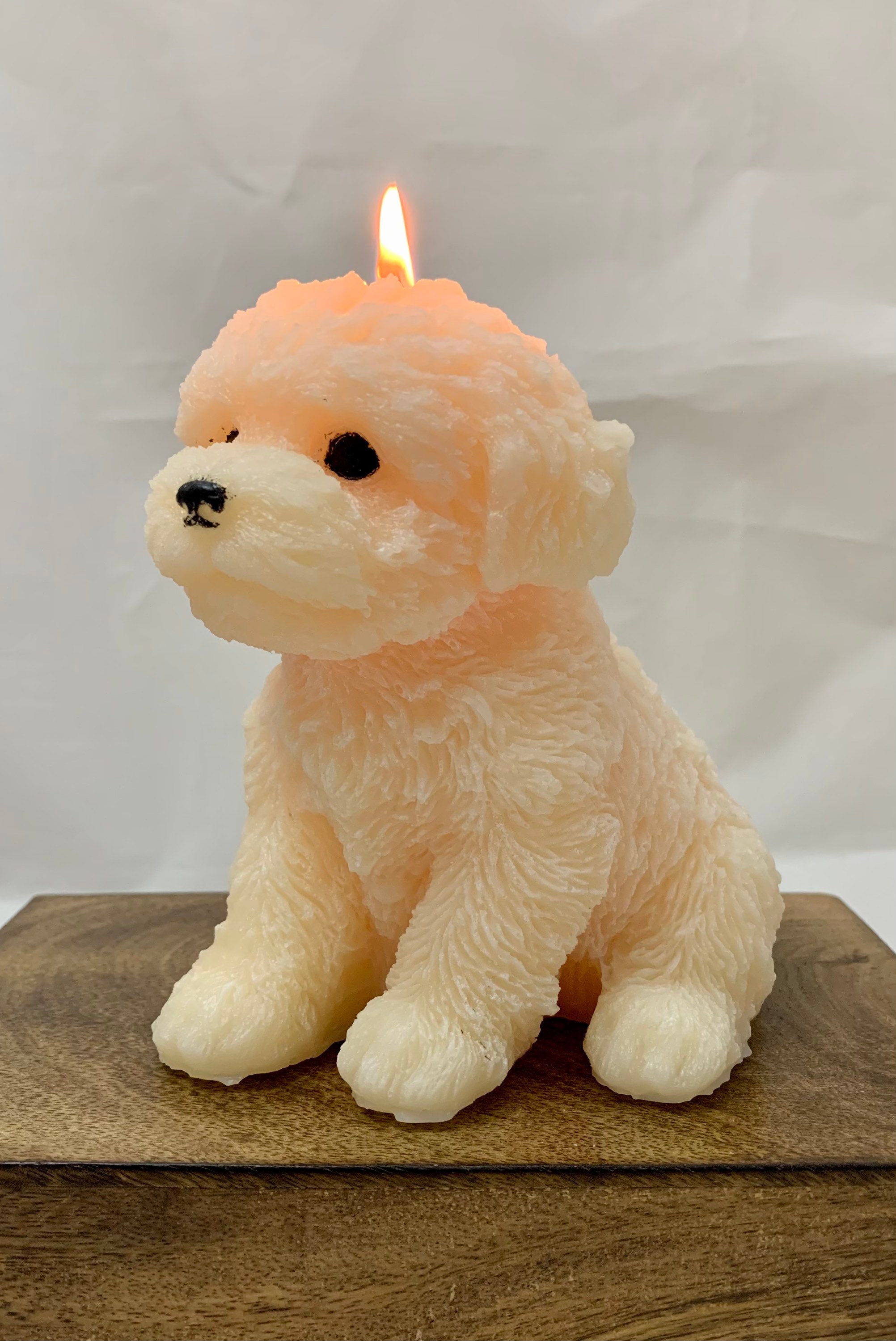 Large Dog Candle, Puppy Candle, Dog Lovers Gift, Teddy Dog, Bichon Frisé, Lhasa Apso, Shih Tzu