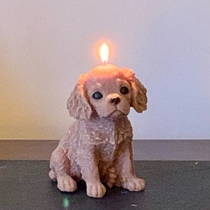 large dog candle, King Charles spaniel candle, dog lovers gift, spaniel, cavalier spaniel, cavachon, dog gift, image 6