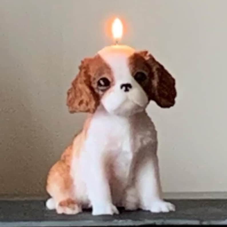large dog candle, King Charles spaniel candle, dog lovers gift, spaniel, cavalier spaniel, cavachon, dog gift, image 1
