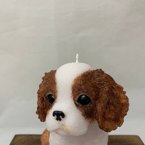 large dog candle, King Charles spaniel candle, dog lovers gift, spaniel, cavalier spaniel, cavachon, dog gift, image 9