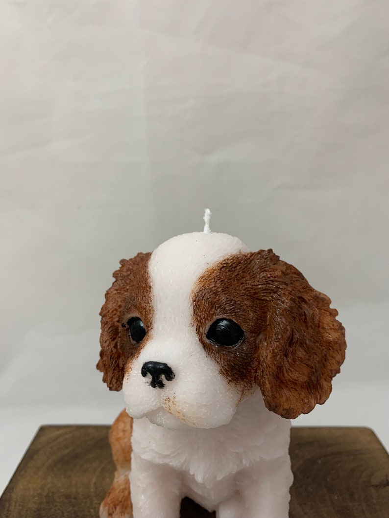 large dog candle, King Charles spaniel candle, dog lovers gift, spaniel, cavalier spaniel, cavachon, dog gift, image 9