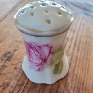 Austria Salt Shaker - Hand Painted