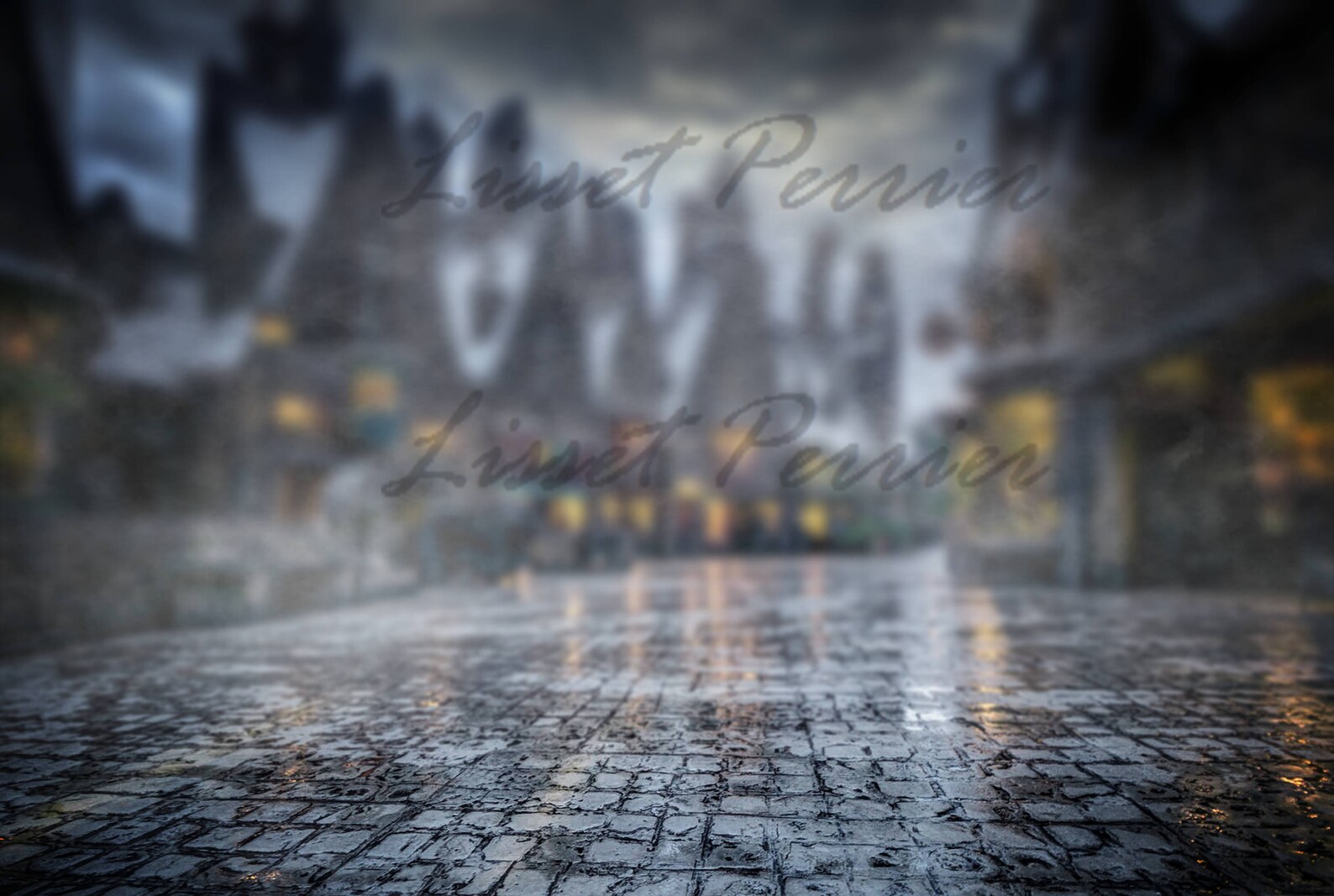 2 Harry Potter Digital Background /backdrop/digital composite Etsy