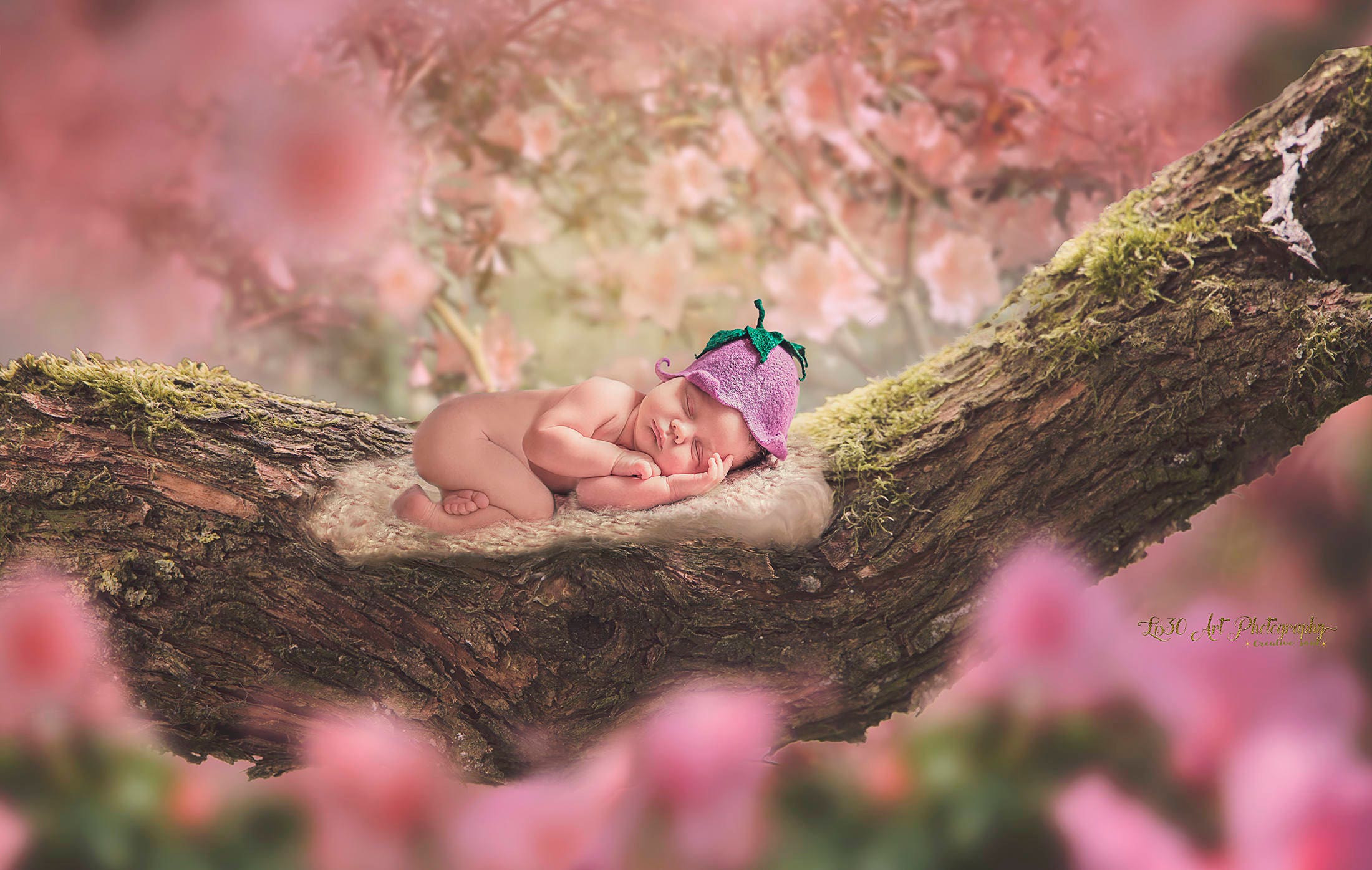 Newborn Background | Etsy