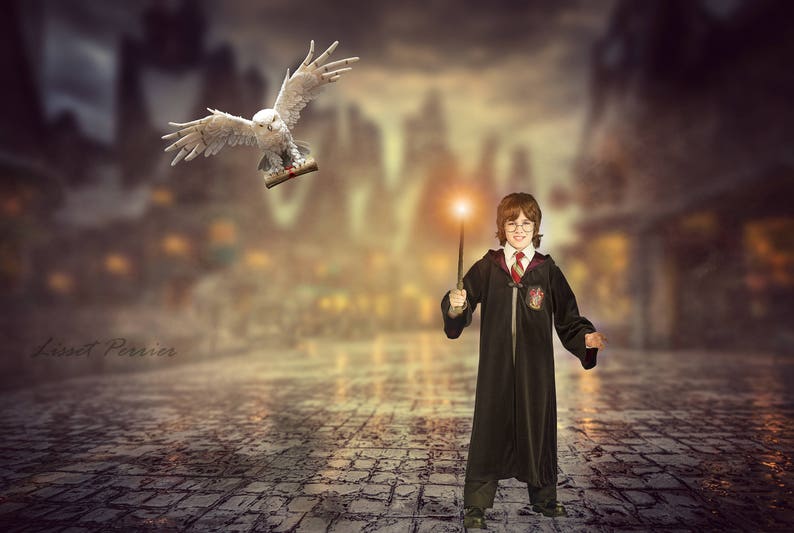 2 Harry Potter Digital Background /backdrop/digital composite Etsy