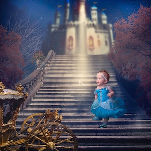 Cinderella Digital Background/ Backdrop/ Composite