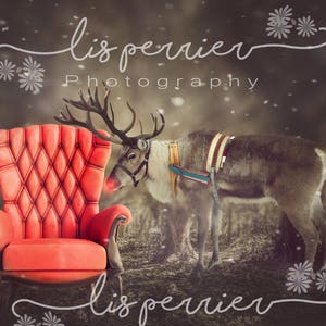 Reindeer Digital Background