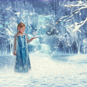 2 Frozen Digital Composite/Digital Background / Frozen backdrop