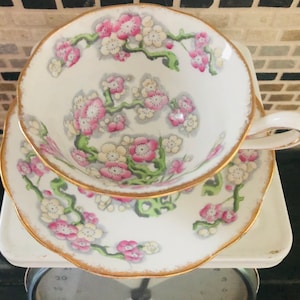 Royal Albert "May Blossom" Tea Cup Bone China England Floral Pattern Gold Rim