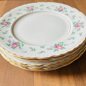 SWEET BRIAR Princess China Tru-tone 8&quot; Salad Plates Set of 6