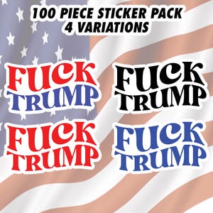 Paquete de 100 pegatinas anti Trump, pegatinas de F*ck Trump, pegatinas antifascistas, antirracistas, antivioladoras, pegatinas feministas, paquete de pegatinas feministas