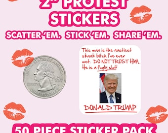 Adesivo anti-Trump, confezione da 50 adesivi, adesivo di protesta politica FDT F*ck Donald Trump, adesivo abolisci anti-ICE, adesivo femminista Femminismo