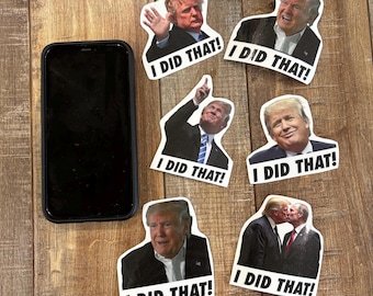 Trump I Did That Sticker Pack Anti Trump sticker Ugly Trump Face decal sticker Trump and Putin sticker Trump looking at eclipse sticker