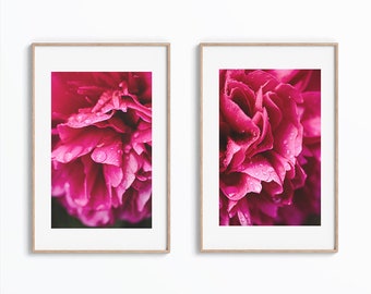 Set of 2 Prints Peony Wall Art, Peony Print, Flower Print Download, Botanical Prints, Floral Print, Peony Decor, Peony Printables, Wall Art