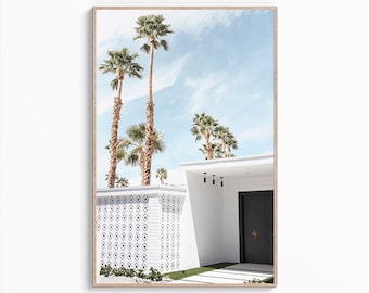 Palm Springs Door Wall Art Print, California Print, Modern Print, Door Photography, Mid Century Decor, Palm Springs Poster, Palm Tree Print