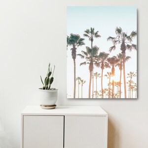 May include: A photograph of a row of palm trees silhouetted against a bright, hazy sky. The sun is setting behind the trees, casting a warm glow on the scene.