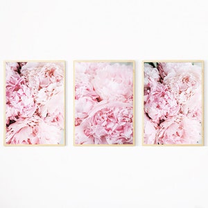 Peony Wall Print, Set of 3 Peony Prints, Flower Wall Art, Flower Printables, Peonies Photography, Prints Floral Wall Art, Peonies Art Decor