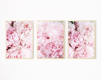 Peony Wall Print, Set of 3 Peony Prints, Flower Wall Art, Flower Printables, Peonies Photography, Prints Floral Wall Art, Peonies Art Decor